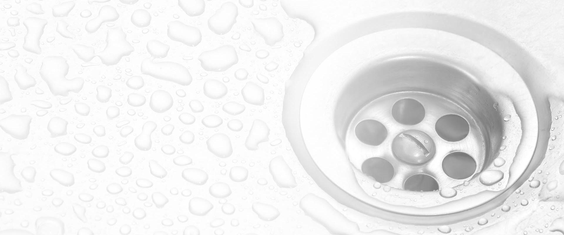 The Rooter Bee – Sewer Plumbing and Drain Cleaning Services – img4